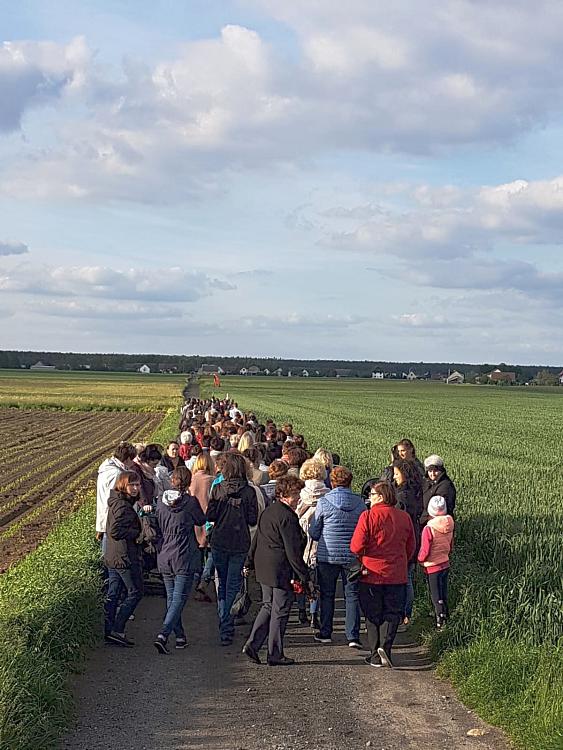 Dni krzyżowe w Dziedzicach (2019-05-29)
