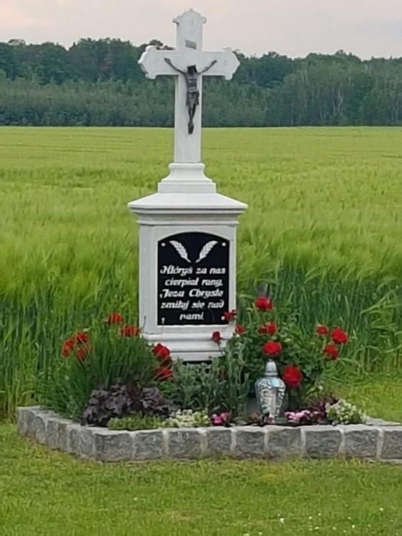 Dni krzyżowe w Ścigowie (2019-05-27)