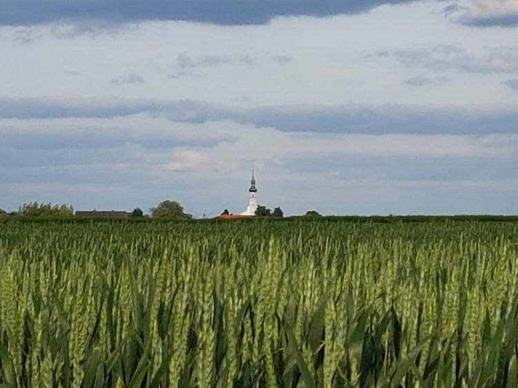 Dni krzyżowe w Dziedzicach (2019-05-29)
